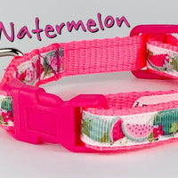 Watermelon cat or small dog collar 1/2" wide adjustable handmade bell or leash
