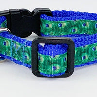 Peacock cat or small dog collar 1/2" wide adjustable handmade bell or leash