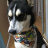 Betty Boop Dog Bandana Over the Collar dog bandana Dog collar bandana