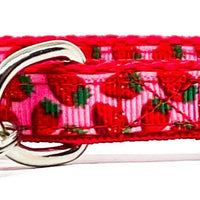 Strawberry cat or small dog collar 1/2" wide adjustable handmade bell or leash