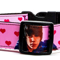 Justin Bieber dog collar Handmade adjustable buckle 1" wide or leash Rock N Roll