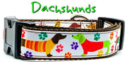 Dachshunds dog collar handmade adjustable buckle collar 1" or 5/8"wide or leash - Furrypetbeds