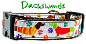 Dachshunds dog collar handmade adjustable buckle collar 1" or 5/8"wide or leash - Furrypetbeds