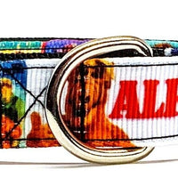Alf Dog collar handmade adjustable buckle 5/8" wide or leash small dog TV show