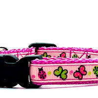 Butterfly cat or small dog collar 1/2" wide adjustable handmade bell or leash