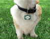 Pet ID Tag New York Jets NFL Personalized Custom Double Sided Pet Tag w/name &no - Furrypetbeds