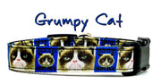 Grumpy Cat small dog or cat collar 5/8" wide adjustable handmade custom or leash Petcollarshandmade