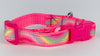 Rainbow cat & small dog collar 1/2" wide adjustable buckle handmade bell leash - Furrypetbeds