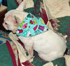 Snoopy dog collar handmade adjustable buckle collar 1" wide leash fabric $12