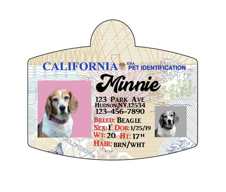 New York Driver License Custom Dog Tag for Pets and Wallet Card - Personalized Pet ID Tags - Dog Tags for Dogs - Dog ID Tag - Personalized Dog ID