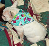 Flintstones dog collar handmade adjustable buckle collar 1" wide or leash fabric - Furrypetbeds