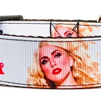 Lady Gaga dog collar Handmade adjustable buckle 1"wide or leash Pop music