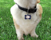 Pet ID Tag New York Yankees Personalized Custom Double Sided Pet Tag Football