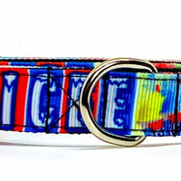 ICEE dog collar handmade adjustable buckle collar 5/8" wide or leash Petcollarshandmade