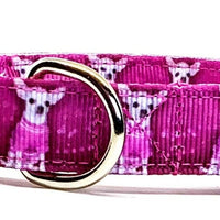 Chihuahua dog collar handmade adjustable buckle collar 5/8" wide or leash