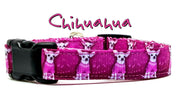 Chihuahua dog collar handmade adjustable buckle collar 5/8" wide or leash Petcollarshandmade