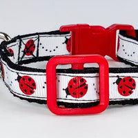 Ladybugs cat or small dog collar 1/2" wide adjustable handmade bell or leash Petcollarshandmade