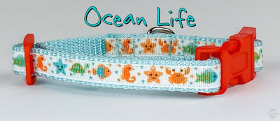 Ocean Life cat or small dog collar 1/2