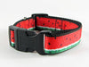 Watermelon dog collar handmade adjustable buckle collar 1" or 5/8"wide or leash