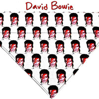 David Bowie dog collar Handmade adjustable buckle collar 1"or 5/8 wide or leash