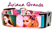Ariana Grande dog collar Handmade adjustable buckle 1"wide or leash Pop music Petcollarshandmade