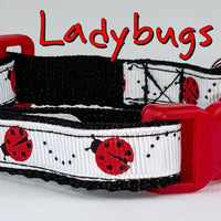 Ladybugs cat or small dog collar 1/2" wide adjustable handmade bell or leash Petcollarshandmade