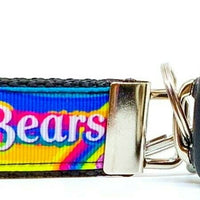 Care Bears Key Fob Wristlet Keychain 1" wide Zipper pull Camera strap - Furrypetbeds