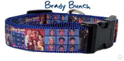 Brady Bunch dog collar handmade adjustable buckle collar 1" wide or leash