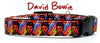 David Bowie dog collar handmade adjustable buckle collar 5/8" wide or leash
