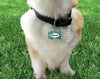 Pet ID Tag Miami Dolphins NFL Personalized Custom Double Sided Pet Tag w/name - Furrypetbeds