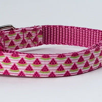 Watermelon dog collar handmade adjustable buckle collar 5/8" wide or leash