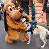 Star Wars dog collar handmade adjustable buckle collar 1" wide or leash fabric