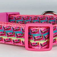 Skittles dog collar Handmade adjustable buckle collar 1" wide or leash pink Petcollarshandmade