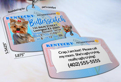 Kentucky Drivers License Pet ID tags Dog ID Tag Personalized Pet ID Tag aluminum Petcollarshandmade