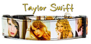 Taylor Swift dog collar Handmade adjustable buckle 1"wide or leash Country Pop Petcollarshandmade