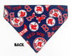 Boston Red Sox Dog Bandana Over the Collar dog bandana Dog collar bandana
