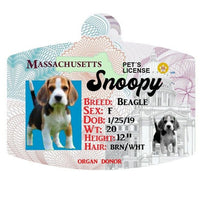 Massachusetts Drivers License Pet ID tags Personalized Pet ID Tag aluminum