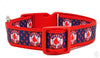 Boston Red Sox dog collar handmade adjustable buckle collar football 1"wide