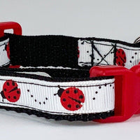 Ladybugs cat or small dog collar 1/2" wide adjustable handmade bell or leash Petcollarshandmade