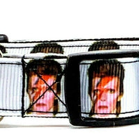 David Bowie dog collar handmade adjustable buckle collar 5/8" wide or leash - Furrypetbeds