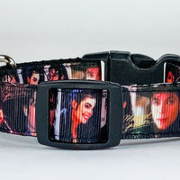 Michael dog collar handmade adjustable buckle collar 5/8" wide or leash fabric - Furrypetbeds