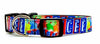 ICEE dog collar handmade adjustable buckle collar 5/8" wide or leash Petcollarshandmade