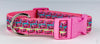 Skittles dog collar Handmade adjustable buckle collar 1" wide or leash pink