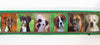Puppies dog collar handmade adjustable buckle collar 1"wide or leash fabric - Furrypetbeds