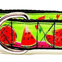 Watermelon dog collar handmade adjustable buckle collar 1"or 5/8" wide or leash Petcollarshandmade