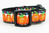 Halloween Pumpkins dog collar handmade, adjustable, buckle collar 1"wide or leash