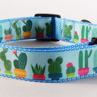Cactus dog collar handmade adjustable buckle collar 1" or 5/8" wide or leash