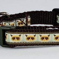 Grumpy Cat  cat or small dog collar 1/2" wide adjustable handmade bell or leash Petcollarshandmade