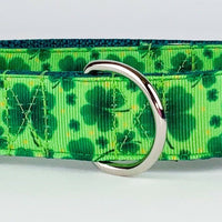 St. Pattys Day 4 leaf clover dog collar handmade adjustable buckle collar 1" wide Petcollarshandmade