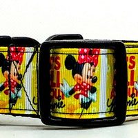 Minnie Mouse Dog collar handmade adjustable buckle collar 1"wide or leash Petcollarshandmade